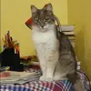 Отзыв от Евгения Севастьянова